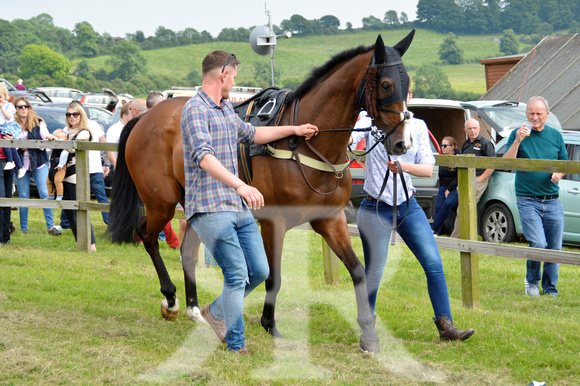 The woodland Pytchley Point to Point 2018 072