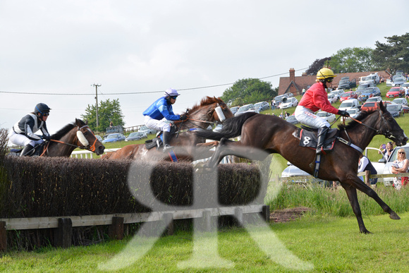 The woodland Pytchley Point to Point 2018 245