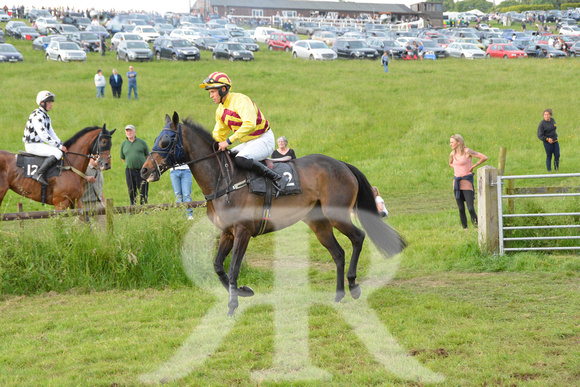 The woodland Pytchley Point to Point 2018 458