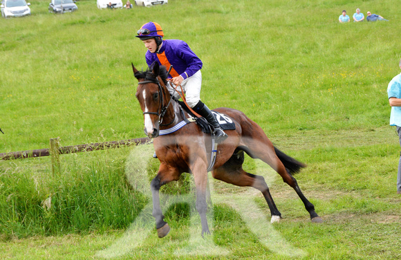 The woodland Pytchley Point to Point 2018 368