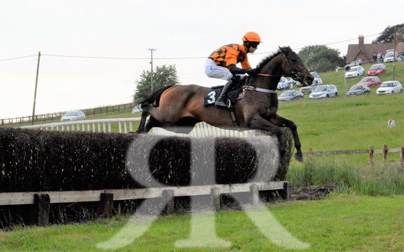 The woodland Pytchley Point to Point 2018 521