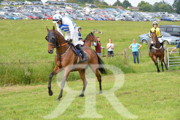 The woodland Pytchley Point to Point 2018 286
