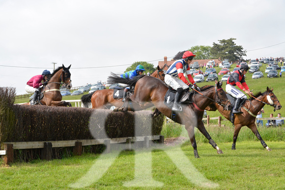 The woodland Pytchley Point to Point 2018 093