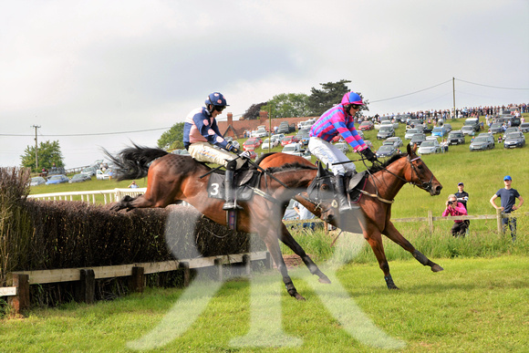 The woodland Pytchley Point to Point 2018 186