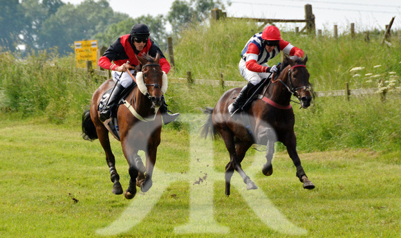 The woodland Pytchley Point to Point 2018 108