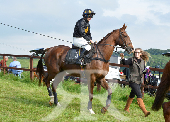 The woodland Pytchley Point to Point 2018 222
