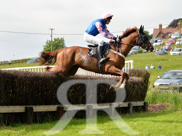 The woodland Pytchley Point to Point 2018 171