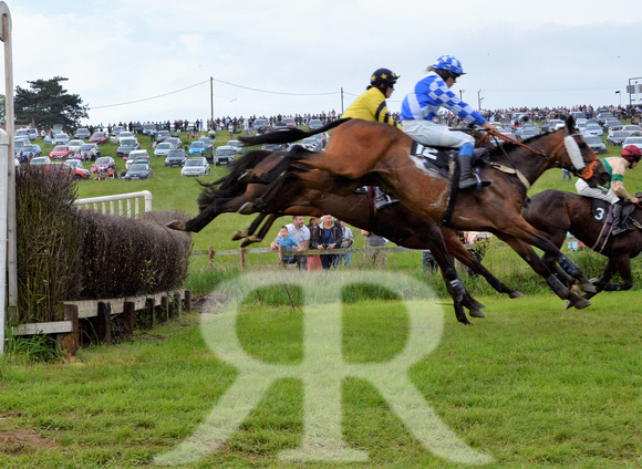 The woodland Pytchley Point to Point 2018 399