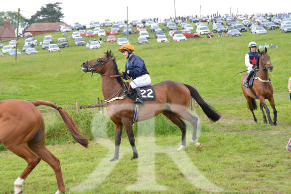 The woodland Pytchley Point to Point 2018 364