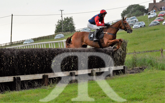 The woodland Pytchley Point to Point 2018 517