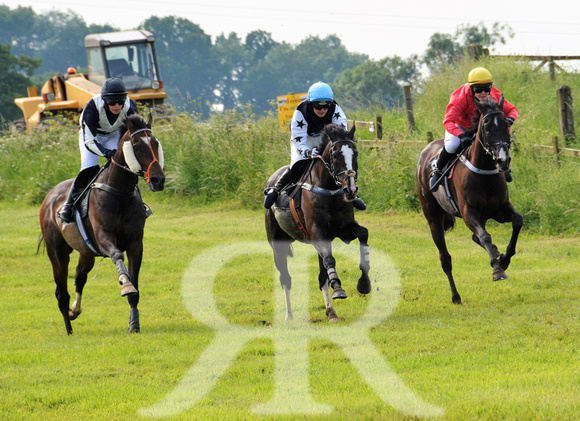 The woodland Pytchley Point to Point 2018 251