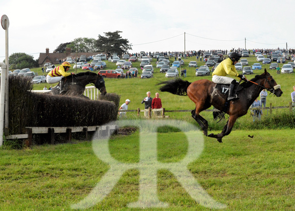 The woodland Pytchley Point to Point 2018 486