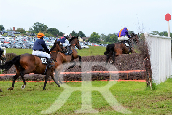 The woodland Pytchley Point to Point 2018 380