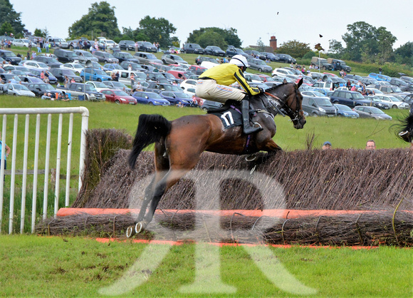 The woodland Pytchley Point to Point 2018 298