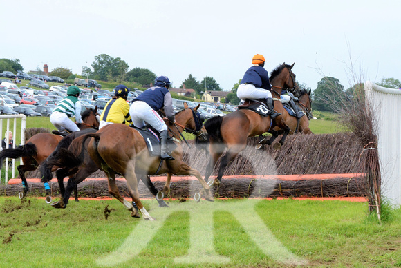 The woodland Pytchley Point to Point 2018 382
