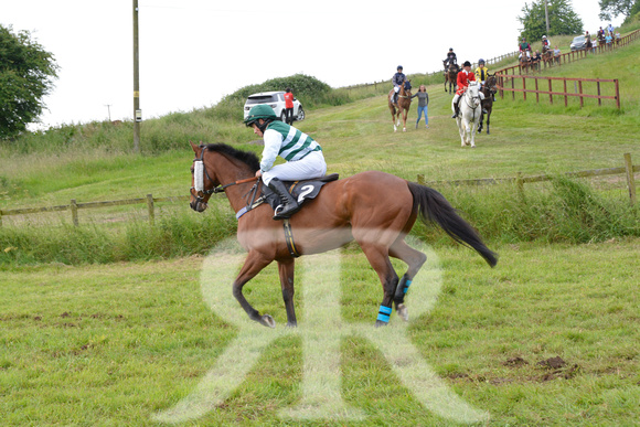 The woodland Pytchley Point to Point 2018 359