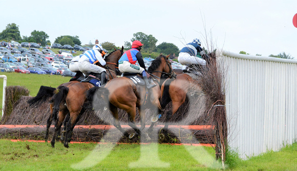 The woodland Pytchley Point to Point 2018 295
