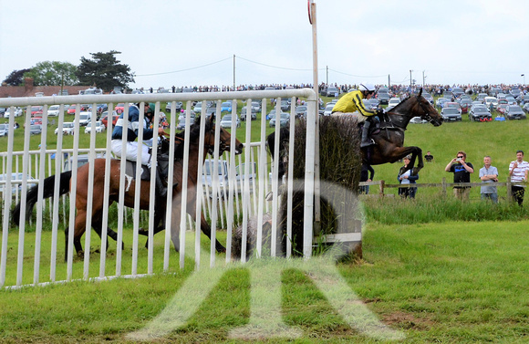 The woodland Pytchley Point to Point 2018 301
