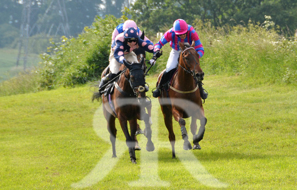 The woodland Pytchley Point to Point 2018 183