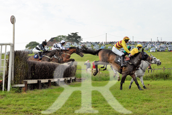 The woodland Pytchley Point to Point 2018 468