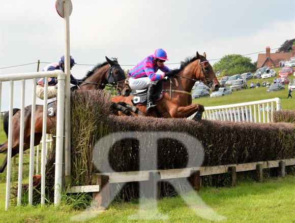 The woodland Pytchley Point to Point 2018 184