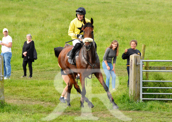 The woodland Pytchley Point to Point 2018 452