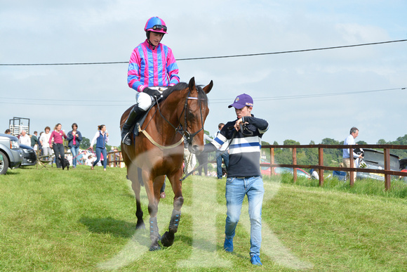 The woodland Pytchley Point to Point 2018 155