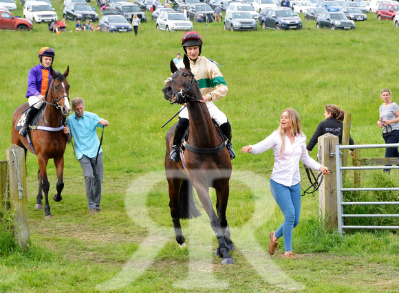 The woodland Pytchley Point to Point 2018 367