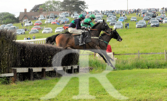 The woodland Pytchley Point to Point 2018 491