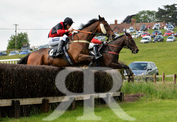The woodland Pytchley Point to Point 2018 110