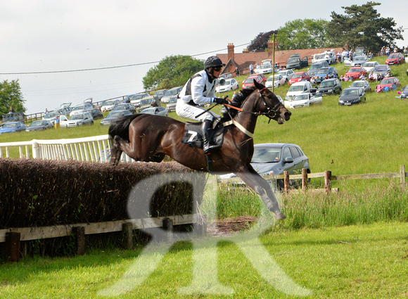 The woodland Pytchley Point to Point 2018 180