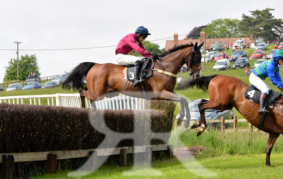 The woodland Pytchley Point to Point 2018 095