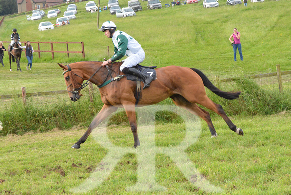 The woodland Pytchley Point to Point 2018 456