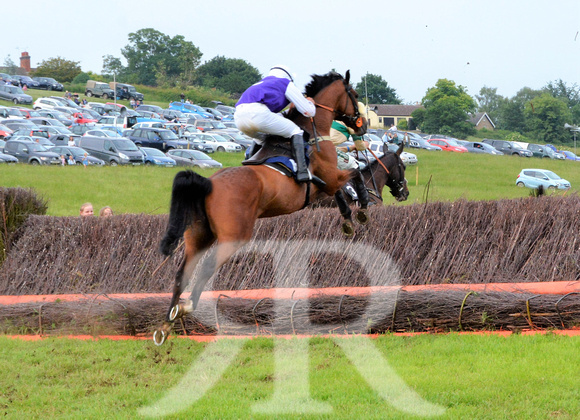 The woodland Pytchley Point to Point 2018 384