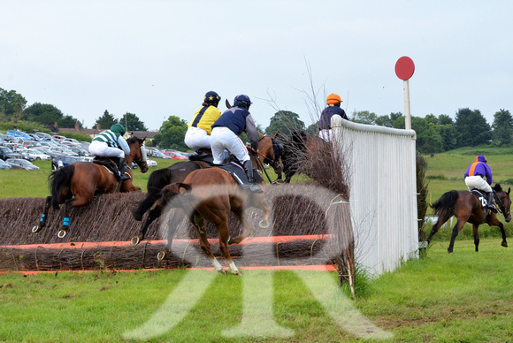 The woodland Pytchley Point to Point 2018 383