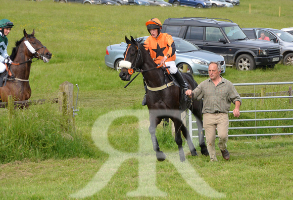 The woodland Pytchley Point to Point 2018 282
