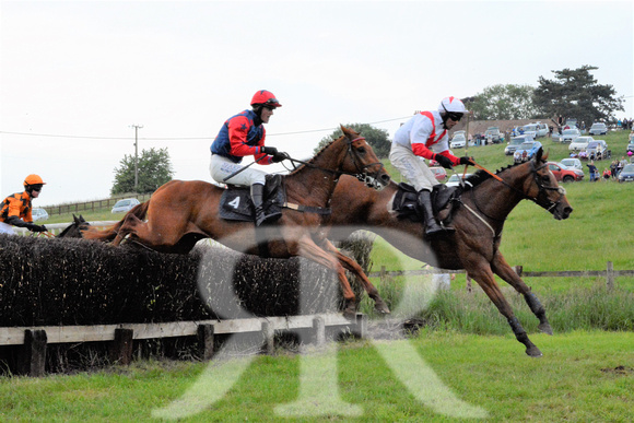 The woodland Pytchley Point to Point 2018 532