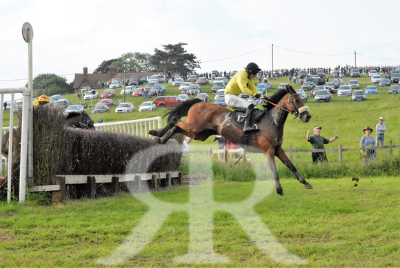 The woodland Pytchley Point to Point 2018 485