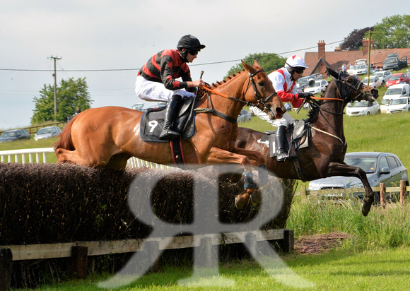 The woodland Pytchley Point to Point 2018 178