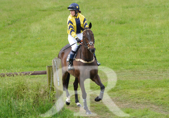 The woodland Pytchley Point to Point 2018 360