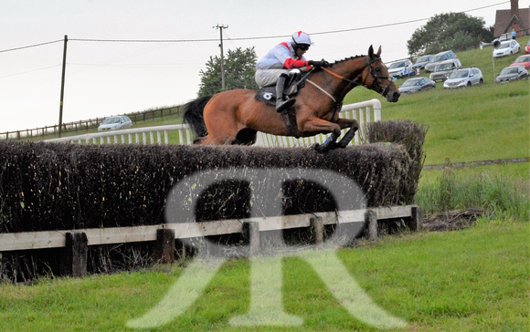 The woodland Pytchley Point to Point 2018 519