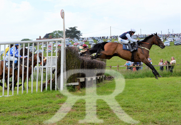 The woodland Pytchley Point to Point 2018 397