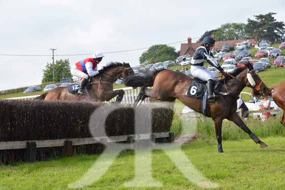 The woodland Pytchley Point to Point 2018 247