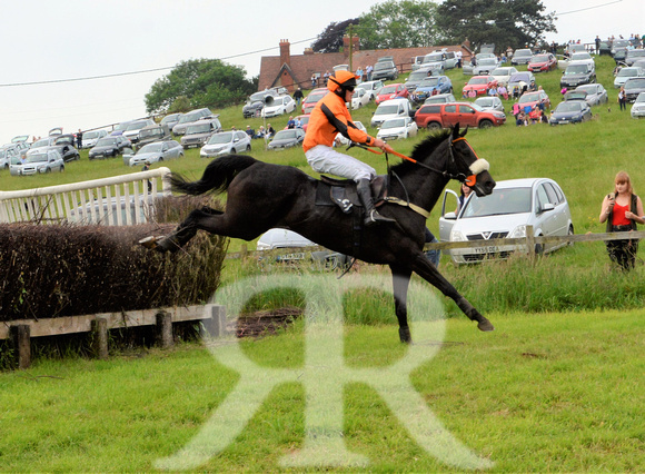 The woodland Pytchley Point to Point 2018 321