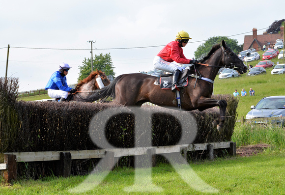 The woodland Pytchley Point to Point 2018 244