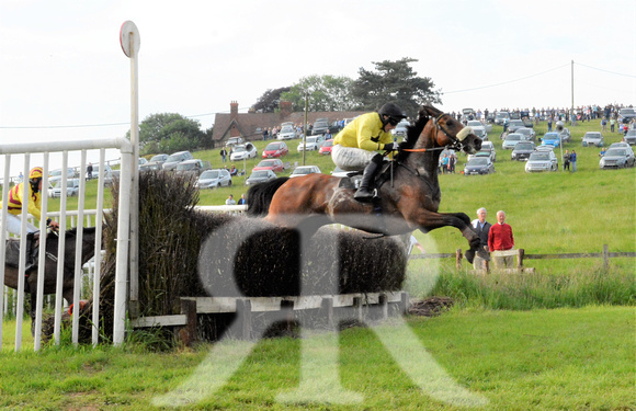 The woodland Pytchley Point to Point 2018 484