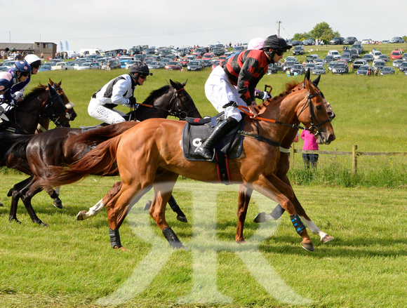 The woodland Pytchley Point to Point 2018 163