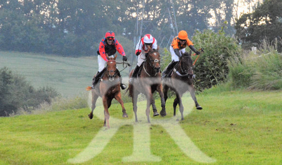 The woodland Pytchley Point to Point 2018 528