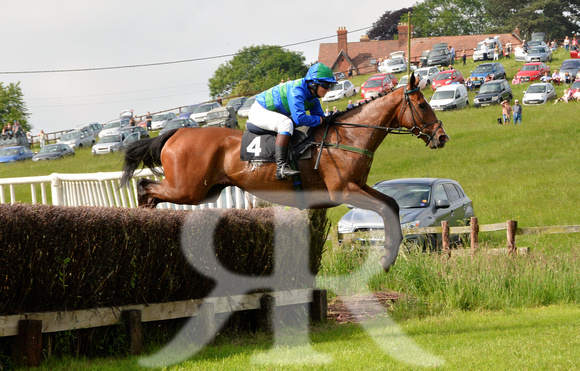 The woodland Pytchley Point to Point 2018 103