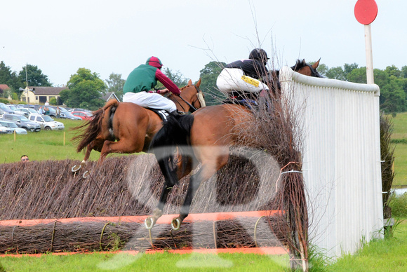 The woodland Pytchley Point to Point 2018 376